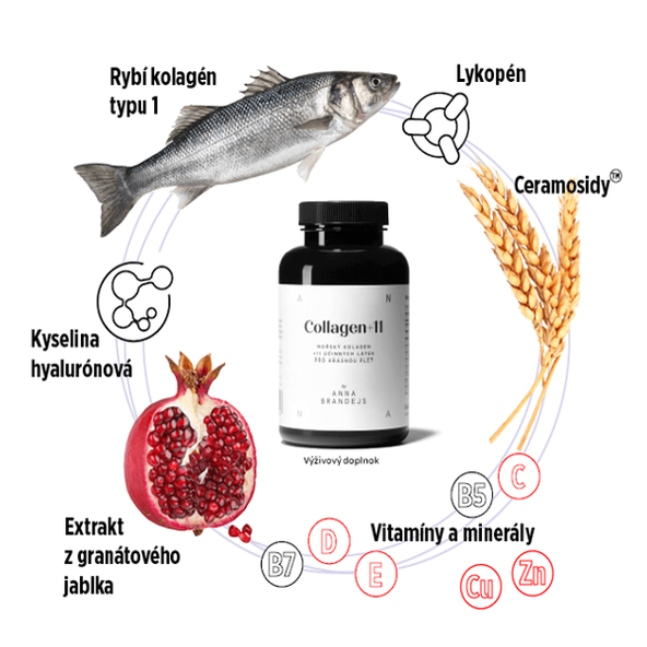 Anna Brandejs Collagen +11 150 kapslí