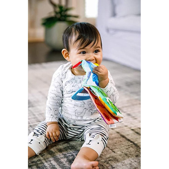 Baby Einstein Curious Explorers™ hryzátko knížka 0 m+
