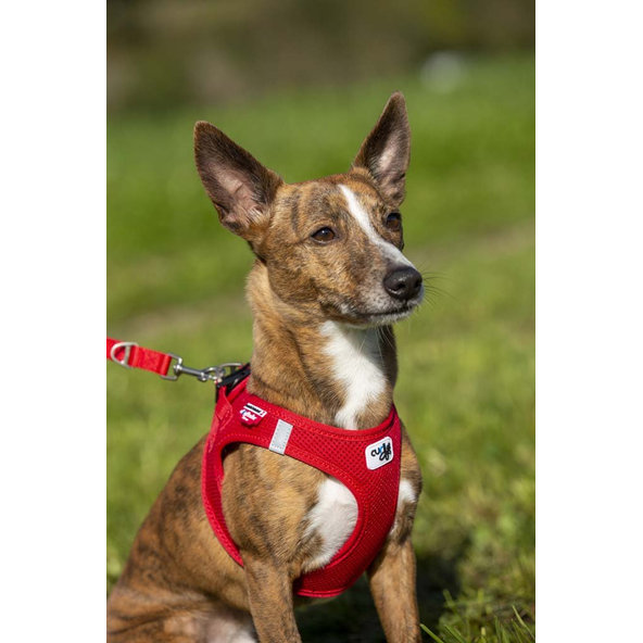 Curli nastavitelné vodítko pro psy nylon red L 200x2 cm
