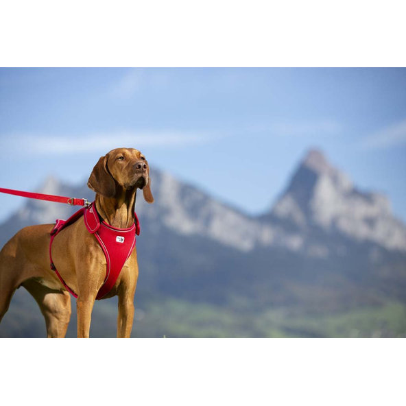 Curli nastavitelné vodítko pro psy nylon red L 200x2 cm