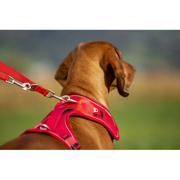 Curli nastavitelné vodítko pro psy nylon red L 200x2 cm