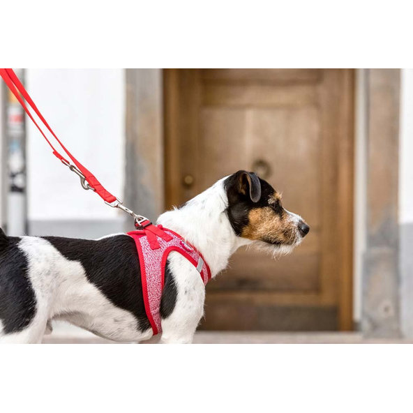 Curli nastavitelné vodítko pro psy nylon red L 200x2 cm