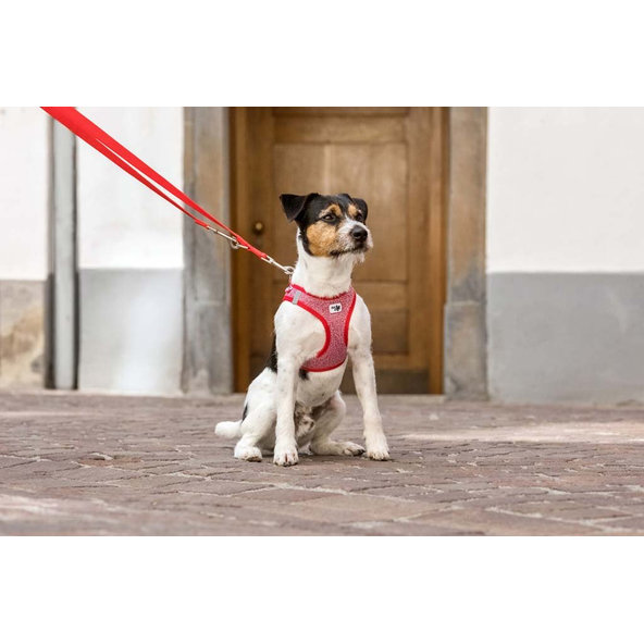 Curli nastavitelné vodítko pro psy nylon red L 200x2 cm
