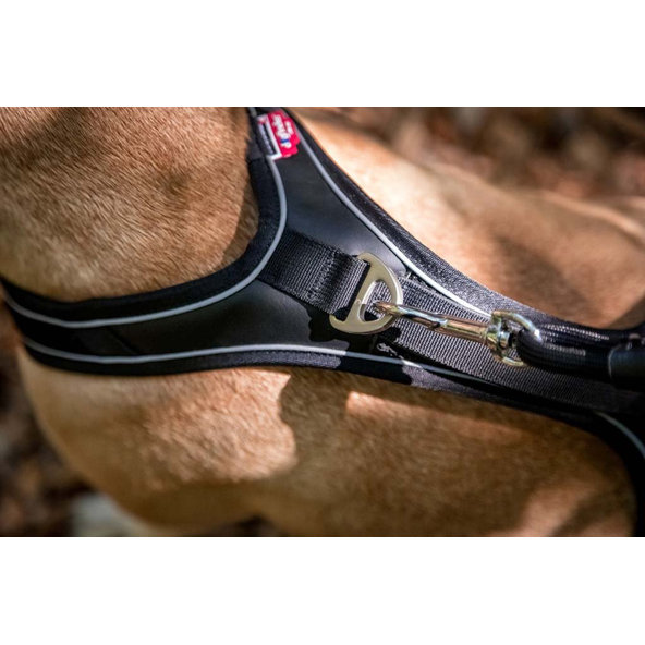 Curli postroj pro psy Belka Comfort Black L 25–33 kg