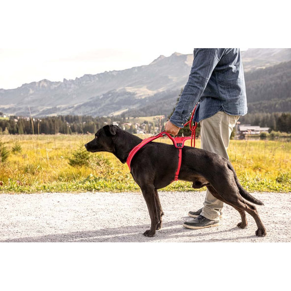 Curli postroj pro psy Belka Comfort Black L 25–33 kg