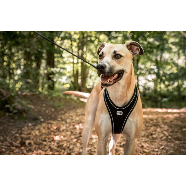 Curli postroj pro psy Belka Comfort Black L 25–33 kg