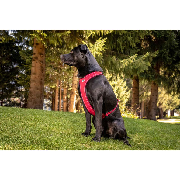 Curli postroj pro psy Belka Comfort Brown XL 30-45 kg