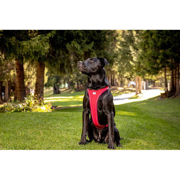 Curli postroj pro psy Belka Comfort Brown XL 30-45 kg