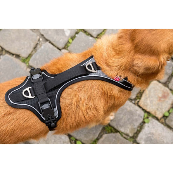 Curli postroj pro psy s magnetem Belka Black Comfort XS 15-20 kg
