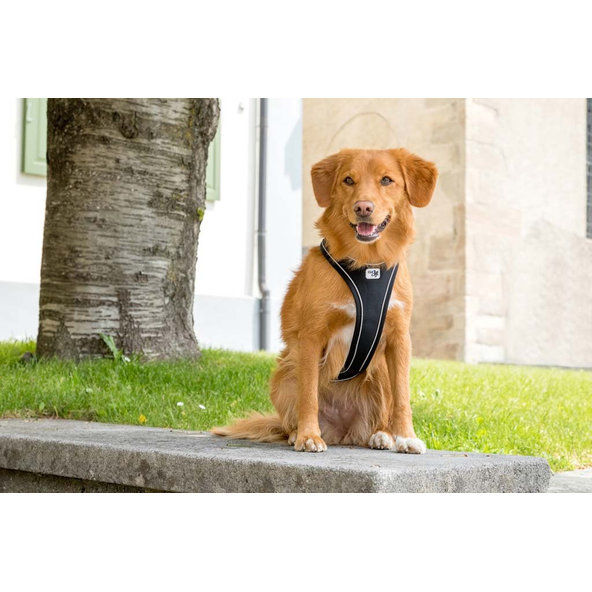 Curli postroj pro psy s magnetem Belka Comfort Black L 25-35 kg