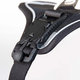 Curli postroj pro psy s magnetem Belka Comfort Black M 20-30 kg