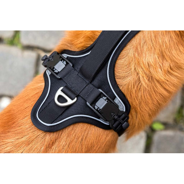 Curli postroj pro psy s magnetem Belka Comfort Black M 20-30 kg