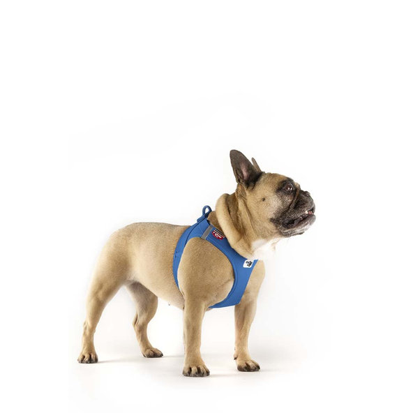 Curli postroj pro psy se sponou Air-Mesh Blue XS 3–5 kg