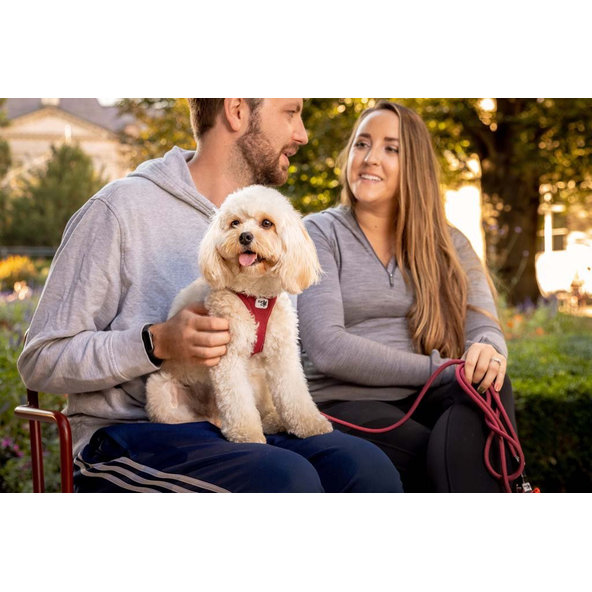Curli postroj pro psy se sponou Air-Mesh Red L 8-13 kg