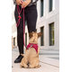 Curli postroj pro psy se sponou Air-Mesh Red XL 12-18 kg