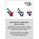 Curli postroj pro psy se sponou Air-Mesh Red XS 3-5 kg