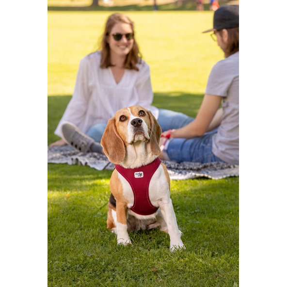 Curli postroj pro psy se sponou Air-Mesh Ruby M 6-9 kg