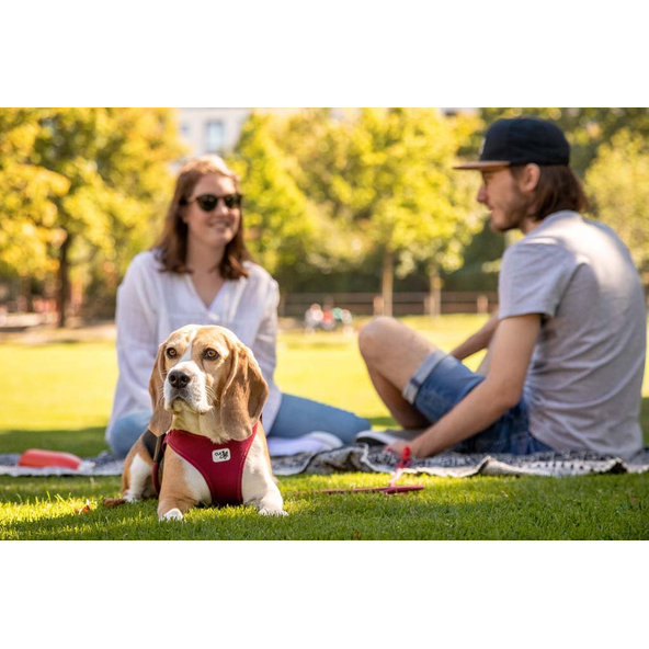 Curli postroj pro psy se sponou Air-Mesh Ruby M 6-9 kg