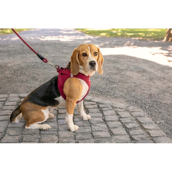 Curli postroj pro psy se sponou Air-Mesh Ruby M 6-9 kg
