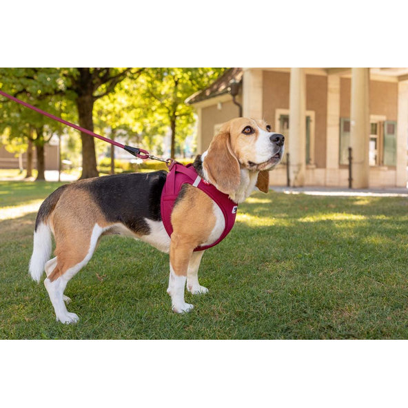 Curli postroj pro psy se sponou Air-Mesh Ruby M 6-9 kg