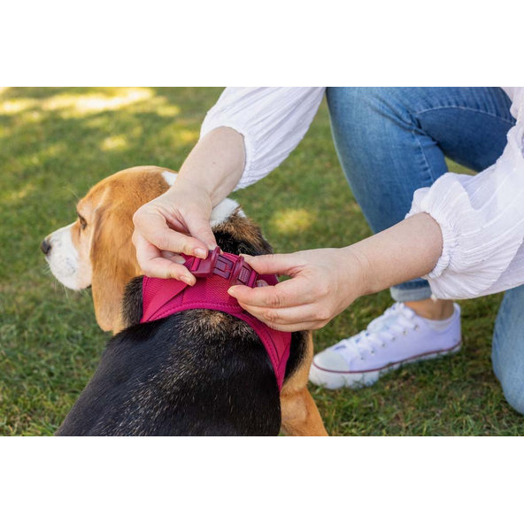 Curli postroj pro psy se sponou Air-Mesh Ruby M 6-9 kg