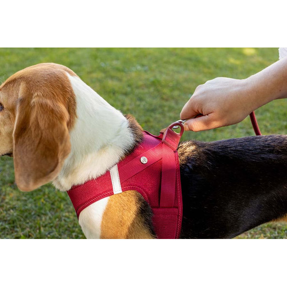 Curli postroj pro psy se sponou Air-Mesh Ruby M 6-9 kg