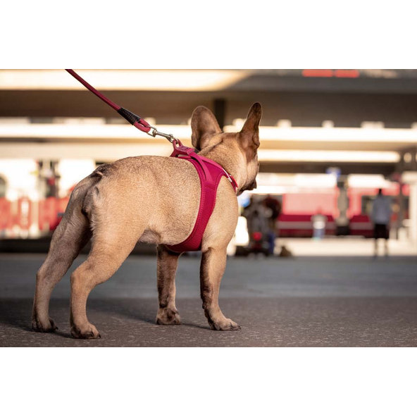 Curli postroj pro psy se sponou Air-Mesh Ruby XL 12-18 kg