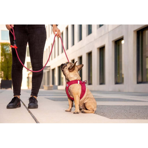 Curli postroj pro psy se sponou Air-Mesh Ruby XL 12-18 kg