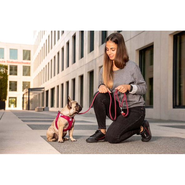 Curli postroj pro psy se sponou Air-Mesh Ruby XL 12-18 kg