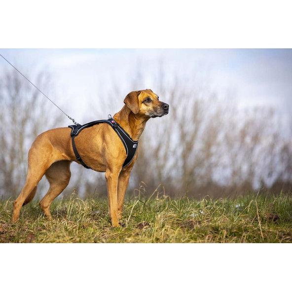 Curli ultra silné vreckové vodítko pro psy S 110 cm