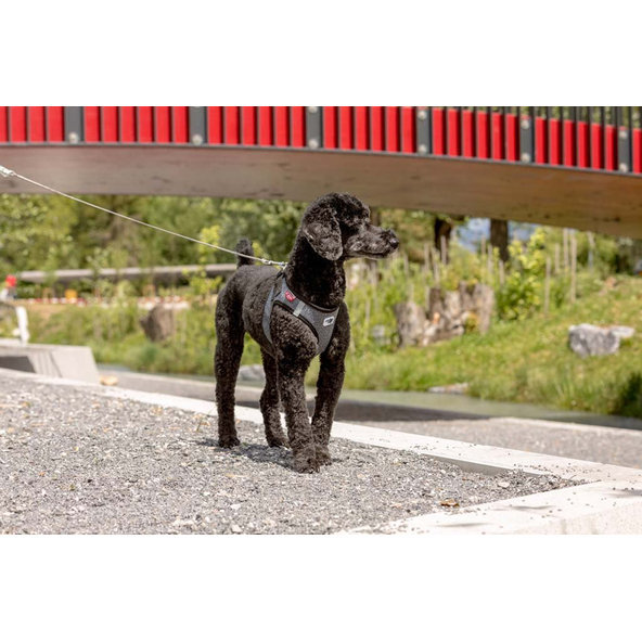 Curli ultra silné vreckové vodítko pro psy S 110 cm