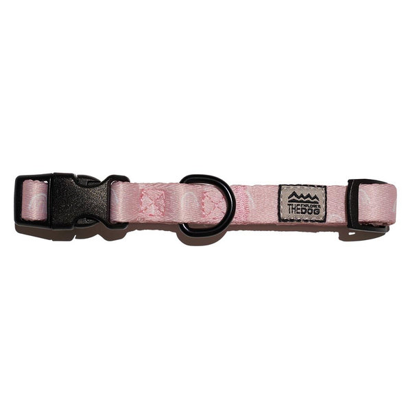 Explorer Dog obojek Duha S 24–36×1,5 cm