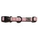 Explorer Dog obojek Duha S 24–36×1,5 cm