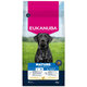 Eukanuba krmivo pro psy Mature Large kuřecí 15 kg