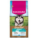 EUKANUBA Grain Free Adult Large krmivo pro psy s mořskými rybami 12 kg