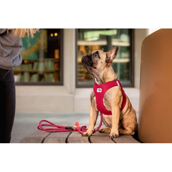 Curli postroj pro psy se sponou Air-Mesh Fuchsia XS 3-5 kg