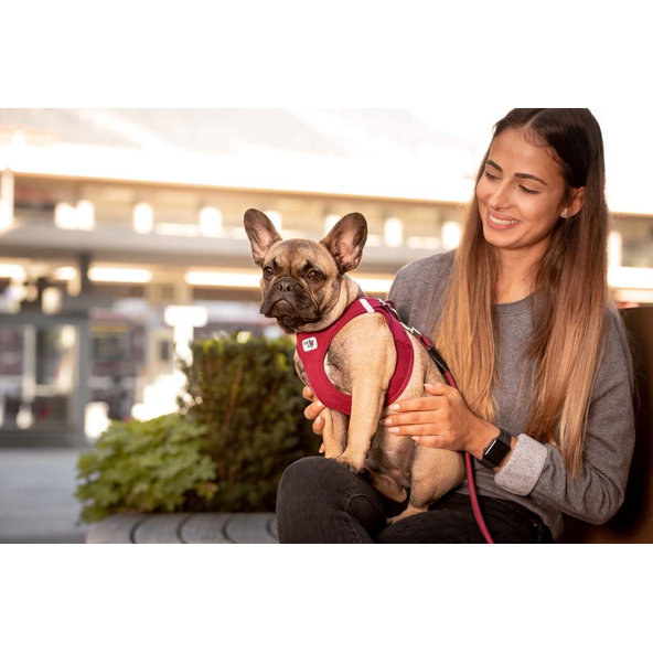 Curli postroj pro psy se sponou Air-Mesh Fuchsia XS 3-5 kg