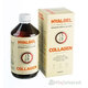 Hyalgel Collagen pomeranč 500 ml