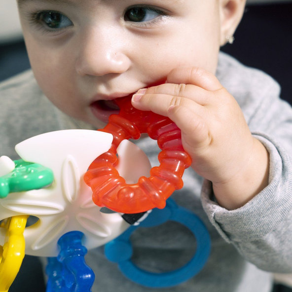 Baby Einstein Ocean Explorers Sea of Sensory™ hryzátko 3 m+