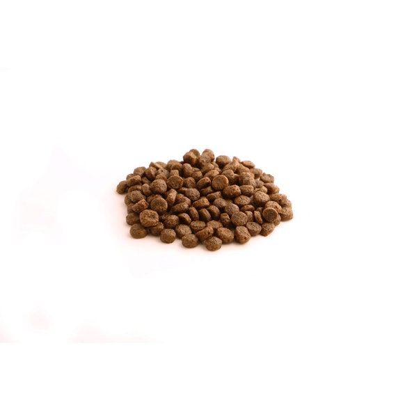 Fish4Dogs Finest Puppy granule losos s batáty 2 m+ 1,5 kg
