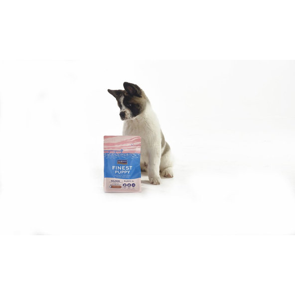 FISH4DOGS Finest Puppy malé granule losos s batáty 2 m+ 6 kg