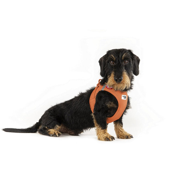 Curli postroj pro psy se sponou Air-Mesh Sun Orange 2XS 2-4 kg