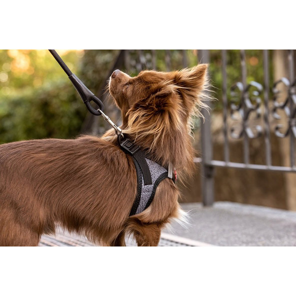 Curli postroj pro psy se sponou Merino vlna Black 3XS 1,5-3 kg
