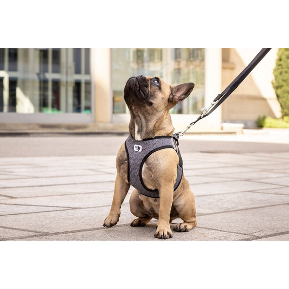 Curli postroj pro psy se sponou Merino vlna Black XL 12-18 kg