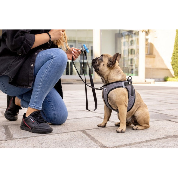 Curli postroj pro psy se sponou Merino vlna Black XL 12-18 kg