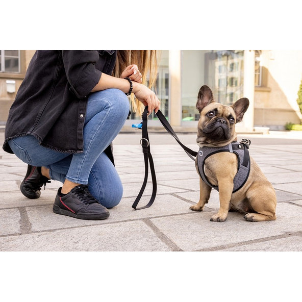 Curli postroj pro psy se sponou Merino vlna Black XL 12-18 kg