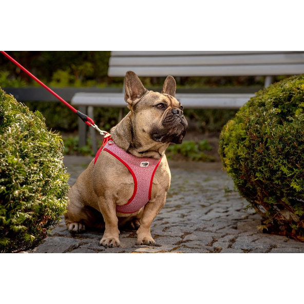 Curli postroj pro psy se sponou Merino vlna Black XL 12-18 kg
