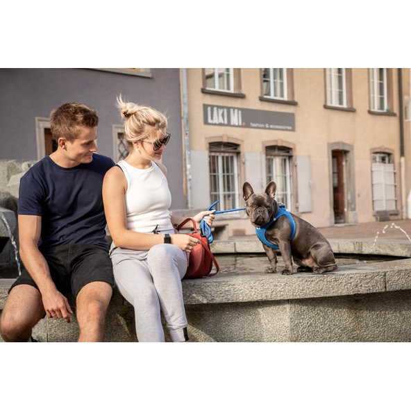 Curli vodítko pro psy Comfort Blue L
