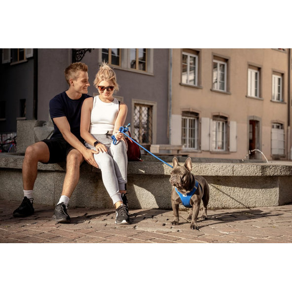 Curli vodítko pro psy Comfort Blue L