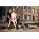 Curli vodítko pro psy Comfort Blue L